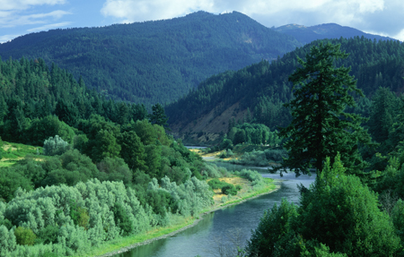 Remax Platinum Real Estate Medford Oregon _Rogue River