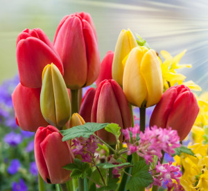 RemaxPlatinumBrokers_Medford_Oregon